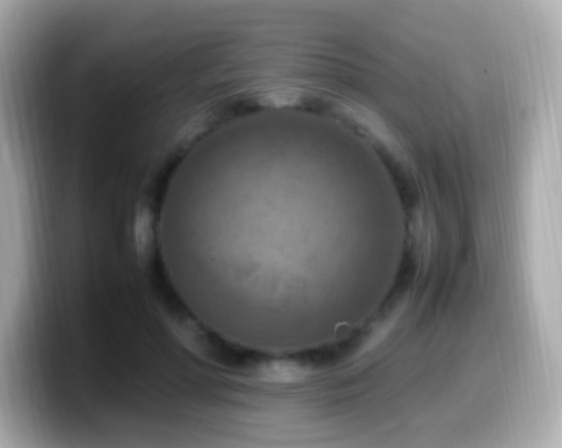 X0000099980598200805231426