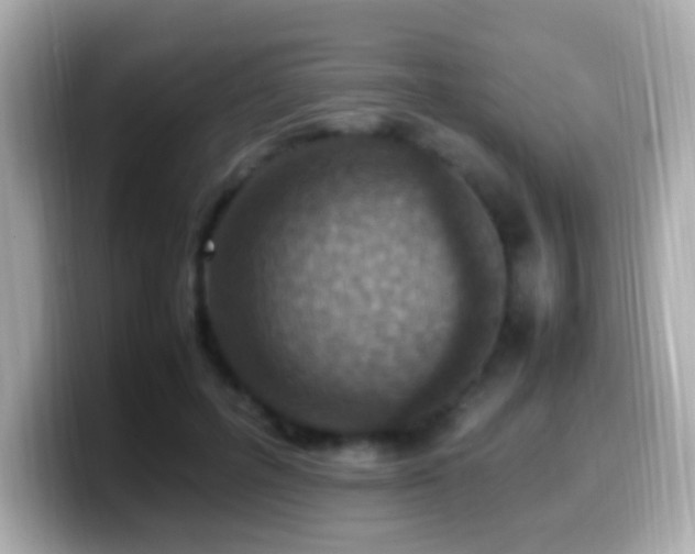 X0000099980600200805231426