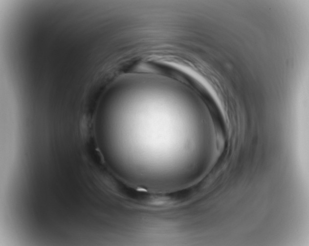 X0000099980605200805231426