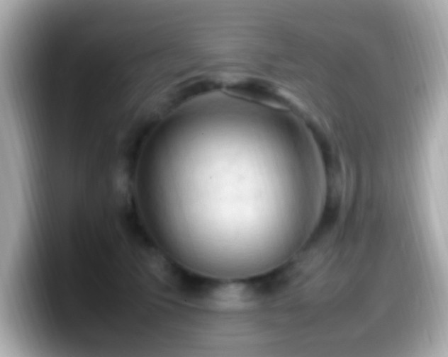 X0000099980609200805231426