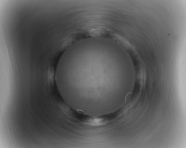 X0000099980610200805231426