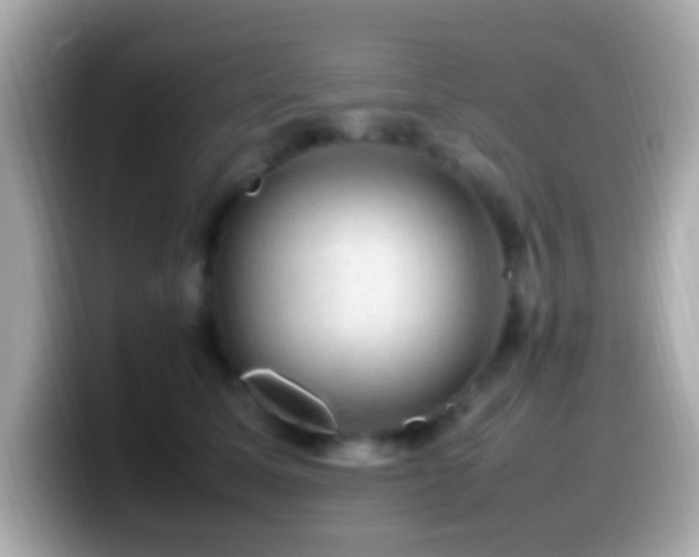 X0000099980611200805231426