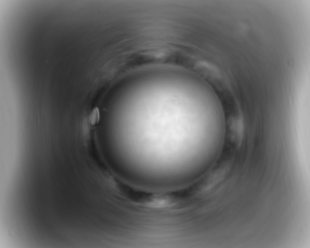 X0000099980612200805231426