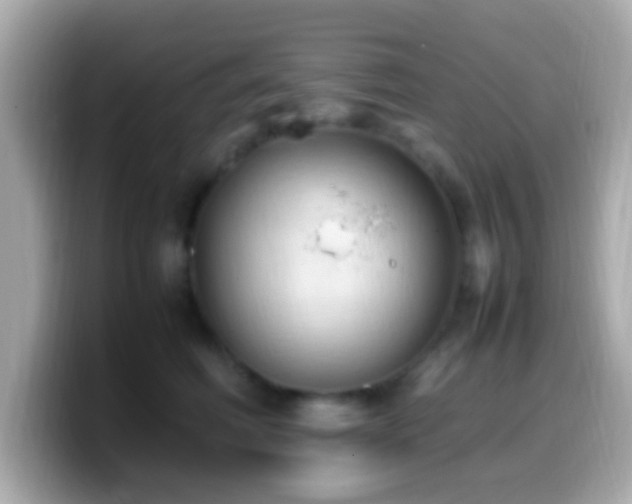 X0000099980614200805231426
