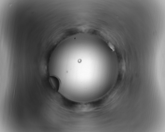 X0000099980615200805231426