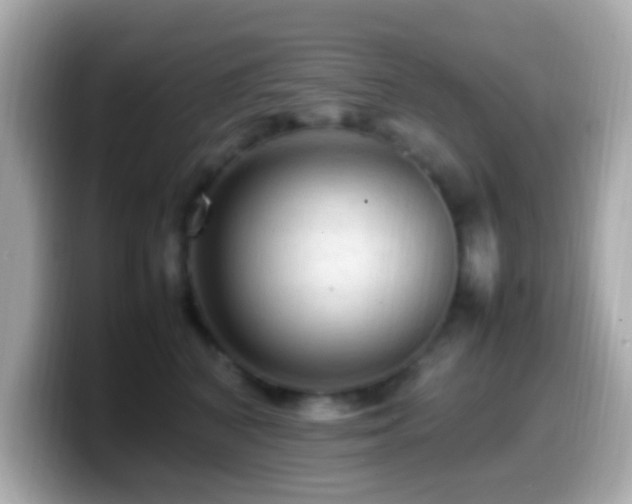 X0000099980616200805231426