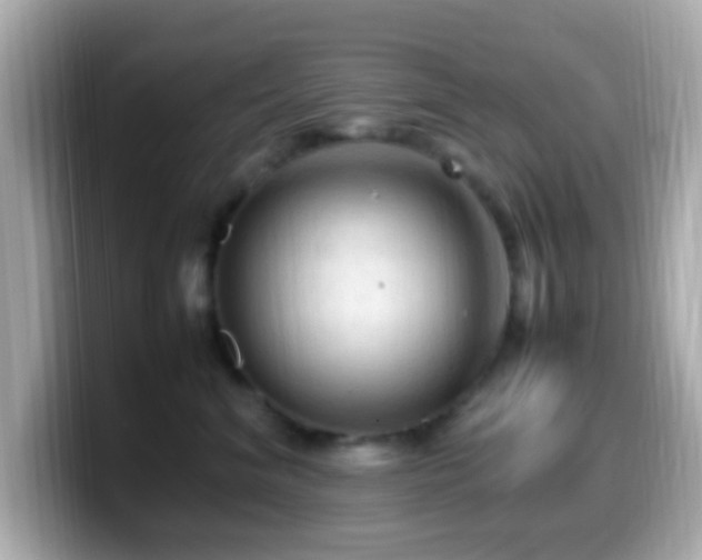 X0000099980620200805231426