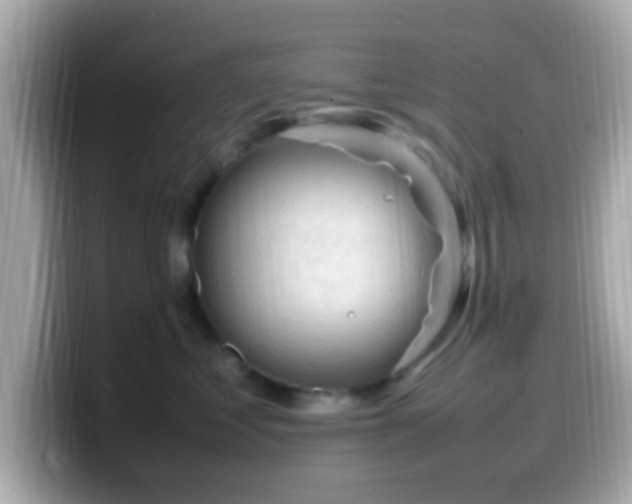 X0000099980621200805231426