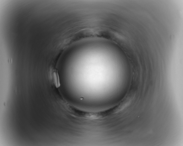 X0000099980624200805231426