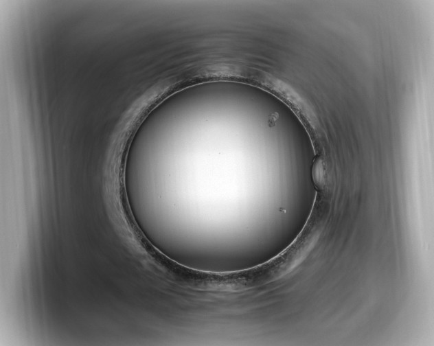 X0000099980625200805231425