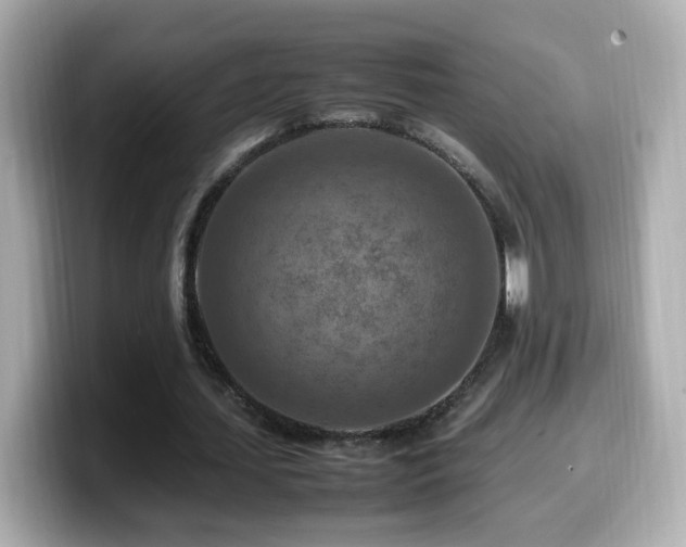 X0000099980627200805231425