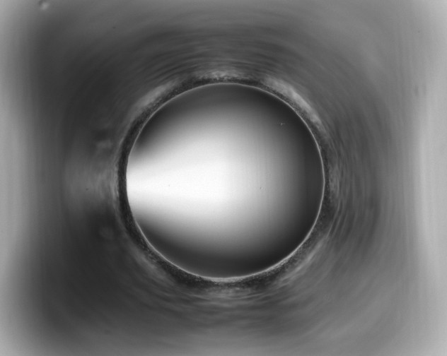 X0000099980629200805231425