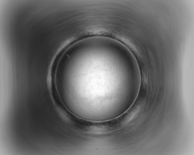 X0000099980630200805231425