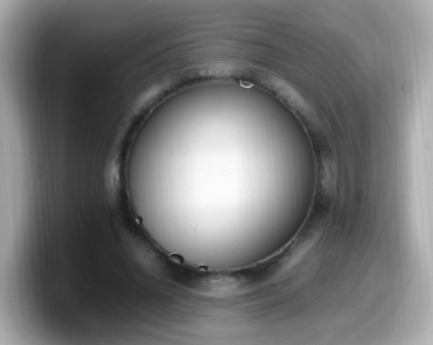 X0000099980636200805231425