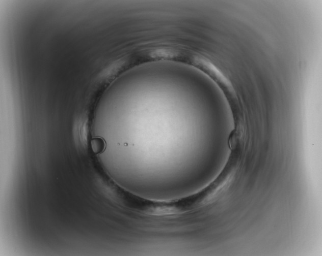 X0000099980637200805231425