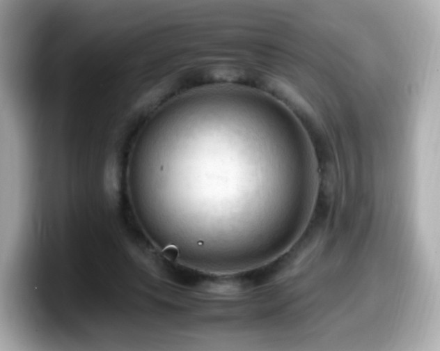 X0000099980639200805231425