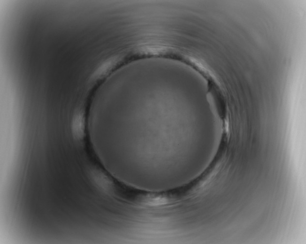 X0000099980640200805231425