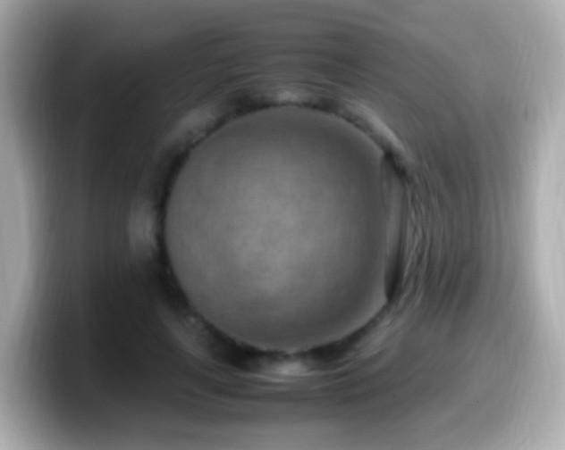 X0000099980643200805231425