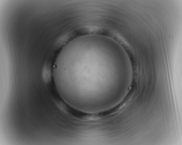 X0000099980644200805231425