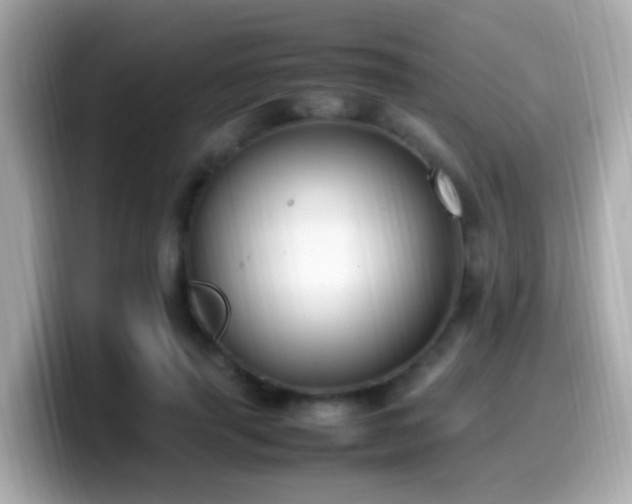 X0000099980645200805231425