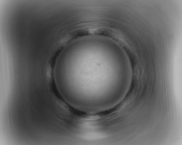 X0000099980650200805231425