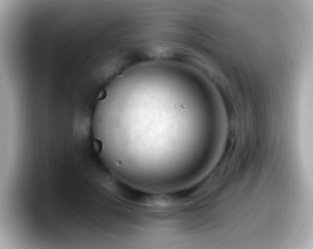 X0000099980652200805231425