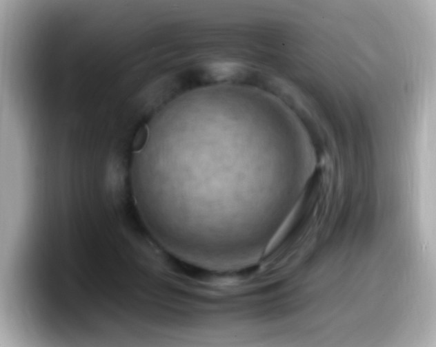 X0000099980653200805231426