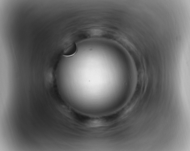 X0000099980655200805231426