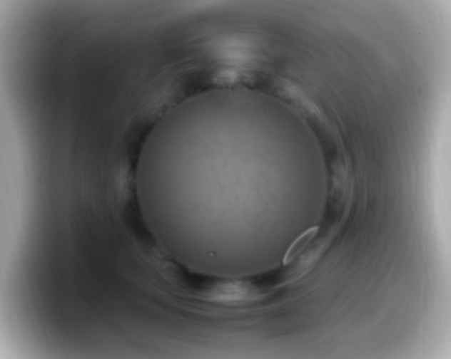 X0000099980659200805231426