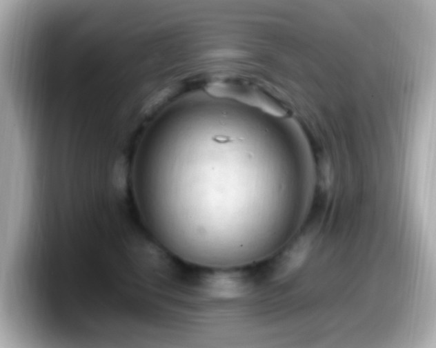 X0000099980664200805231426