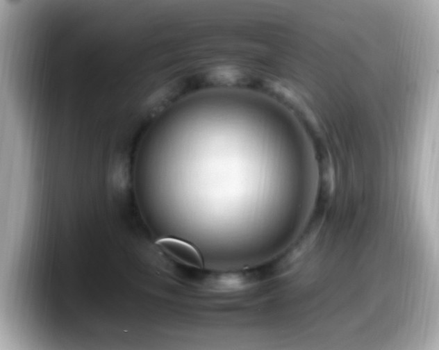 X0000099980665200805231426
