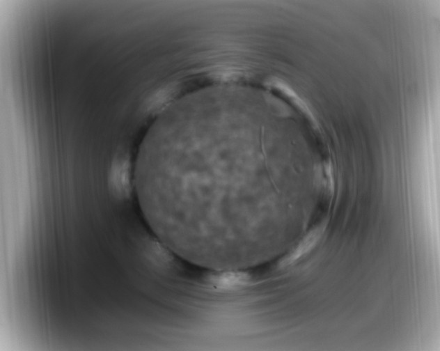 X0000099980670200805231426