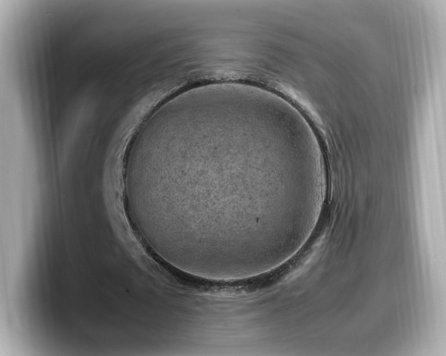 X0000099980673200805231425