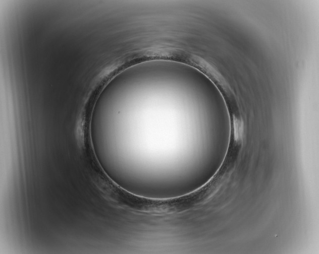 X0000099980675200805231425