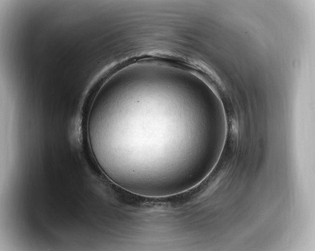 X0000099980676200805231425