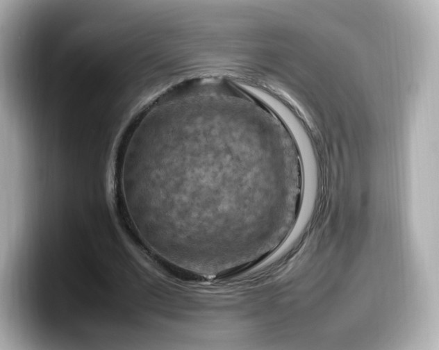 X0000099980677200805231425