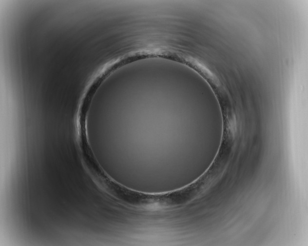 X0000099980678200805231425