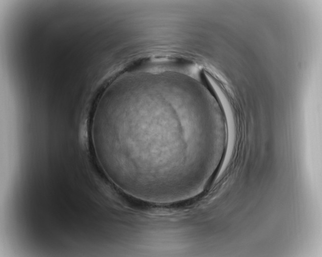 X0000099980681200805231425