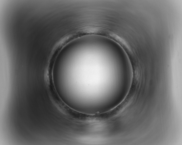 X0000099980682200805231425