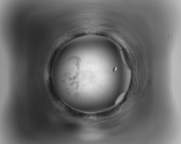 X0000099980687200805231425