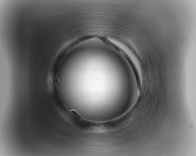 X0000099980688200805231425