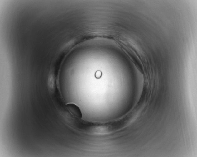 X0000099980692200805231425