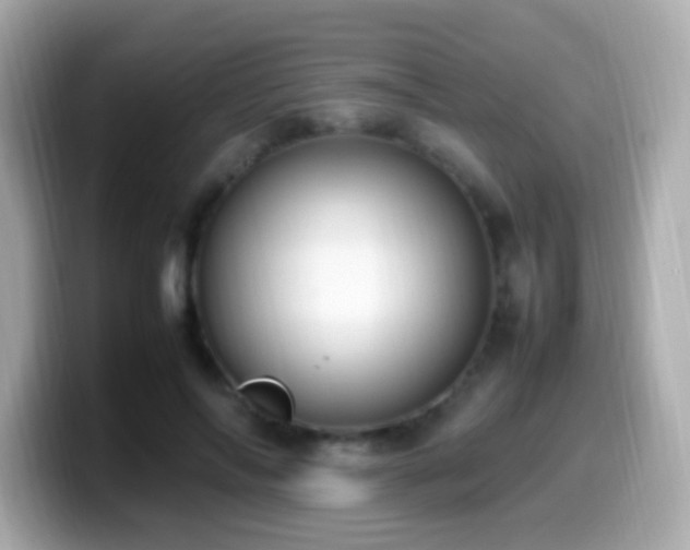 X0000099980694200805231425