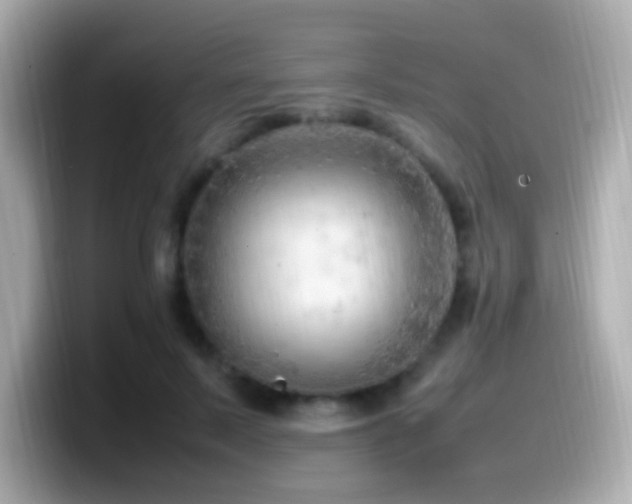 X0000099980695200805231425