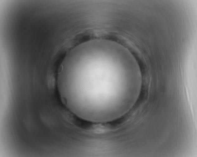 X0000099980703200805231425