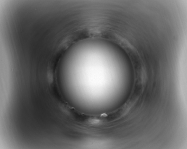 X0000099980706200805231425
