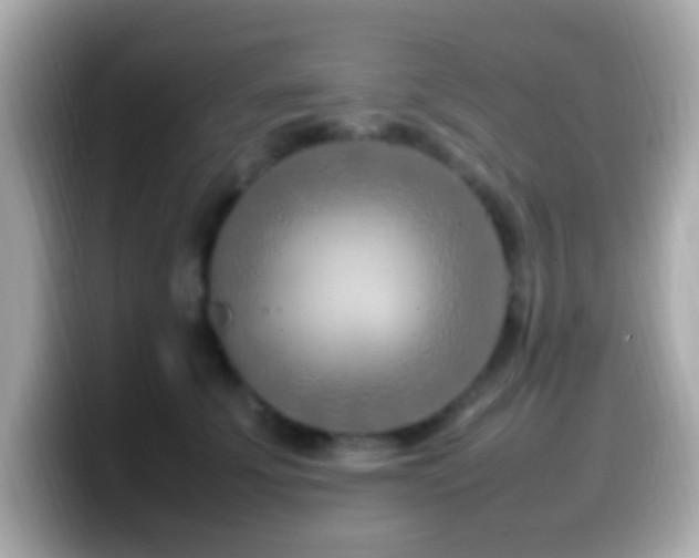 X0000099980707200805231425