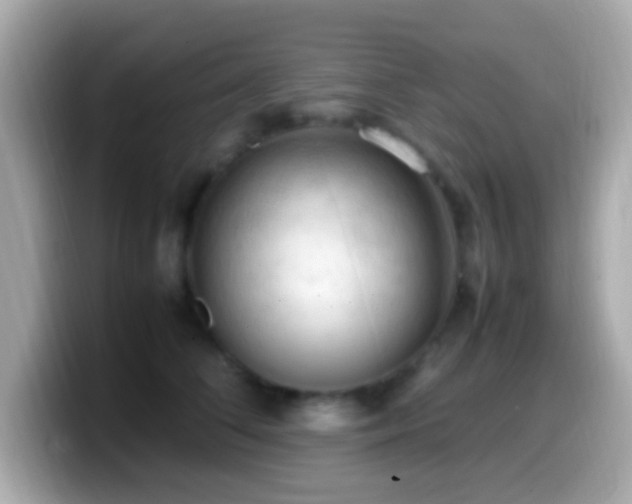 X0000099980708200805231425