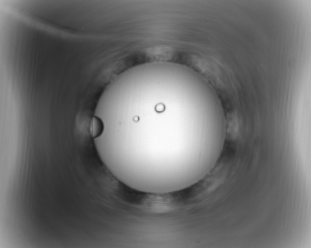 X0000099980713200805231425