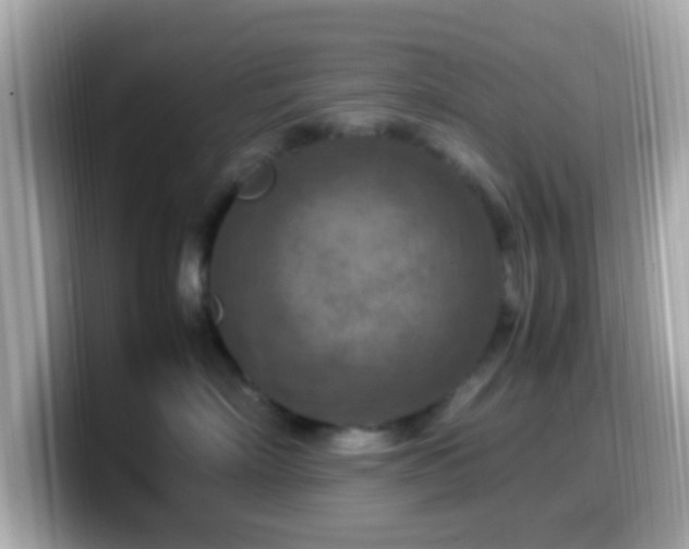 X0000099980718200805231425